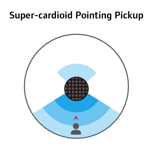 CAROL GS-67 Karaoke Microphone, XLR Dynamic Type, Super Cardioid, Feedback Suppression, for Singing, Parties, and PA Systems, with Switch and 4.5m Cab