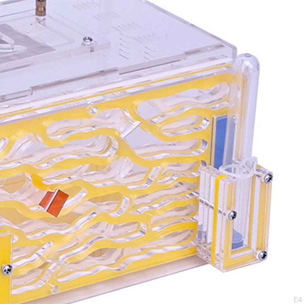 Домик Nest Farm Среда обитания Инкубатор для разведения на День рождения Дом День защиты детей