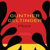 Moor by Gunther Geltinger Paperback Book 9780857428332