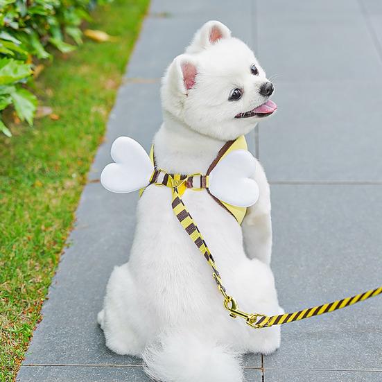 Маленькая шлейка и поводок в форме пчелы, мультяшная шлейка-жилет для прогулок щенков с крыльями для маленьких собак, кошек
