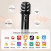 Dianyin SongBird-SE Home Karaoke Bluetooth Speaker with Dual Microphones
