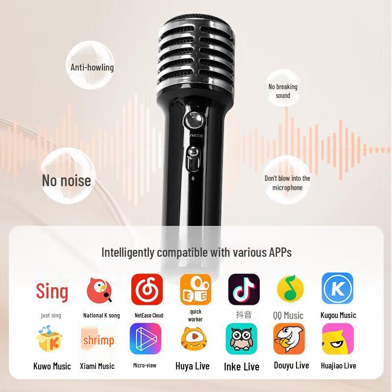 Dianyin SongBird-SE Home Karaoke Bluetooth Speaker with Dual Microphones