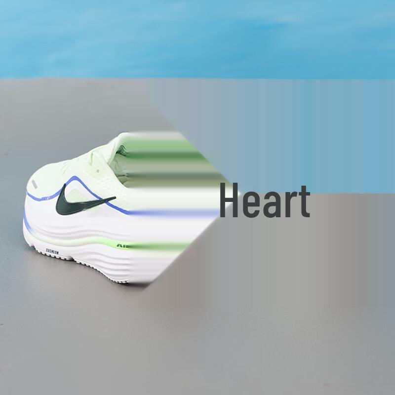 Nike Мужские беговые кроссовки WINFLO HV9272-700