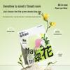 Xu Cuihua All-in-One Plant & Tofu Cat Litter Bundle