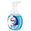 Walch Foaming Antibacterial Hand Wash - Health Care Twin Pack