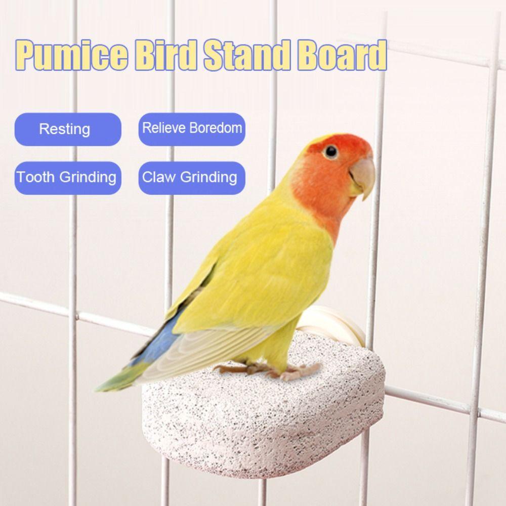 Pumice Bird Perch Stand Claw Grinding Bird Resting Platform Sturdy Parrot Stand Board Lovebirds