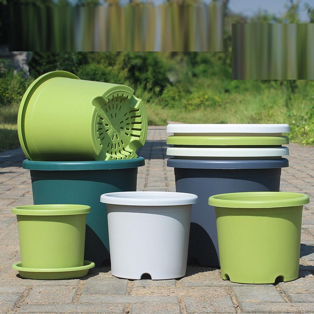 The New - Gallon Rose And Green Vine Plastic Flowerpot Of Four Seasons Flowerpot