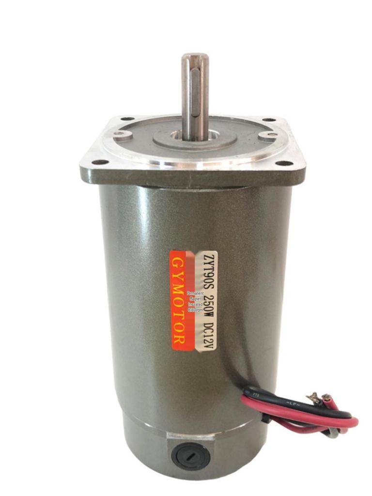 ZYT90S 250W Carbon Brush DC Motor 12V/24V/220V 1800/2800 RPM
