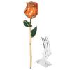 Golded Rose Flower 24K Bright Orange with Base Gift for Valentine " S Day Birthday