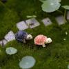 Miniature Turtle Dollhouse Bonsai Garden Garden Home Decorations