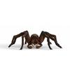 Schleich Aragog Figure SL13987, Popular Toys In Korea