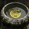 Floating Bee Island-Bee Waterer Round Bee Insect Drinking Tray Acrylic Beekeeping Setups Luring insectss Waterer Catcher Cups