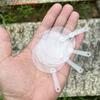 (YOUU06)50 шт. 5 см Милый Мини Прозрачный Пустой Веер Ребенок Детский DIY Художественный Веер Свадьба День Рождения Вечеринка Подарок Девушке Идеи Подарка