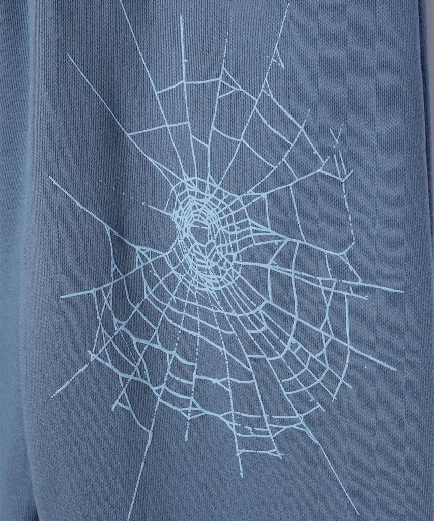 CRITIC Брюки-джоггеры Spider Синие