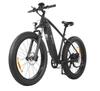 DYU KING 750 48V 750W Electric Bike - 110km Pedal Assist, 45km/h Speed & 25" All-Terrain Wheels