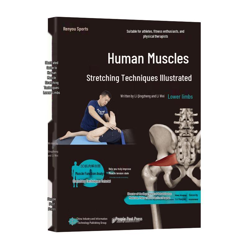 Illustrated Guide to Lower Limb Muscle Stretching