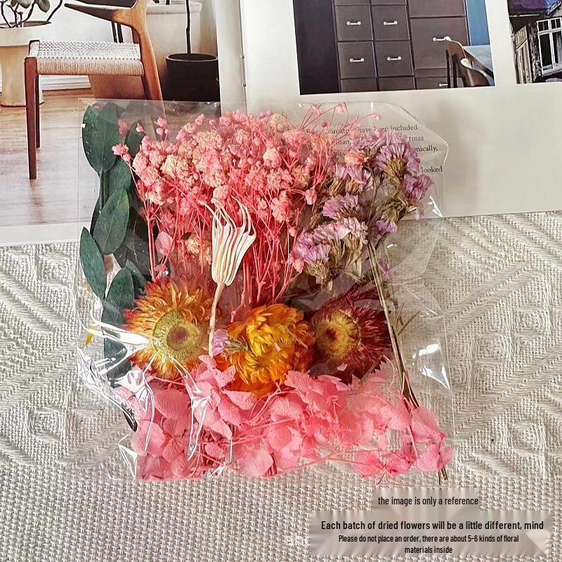 DIY Round Fan Kit: Natural Dried & Preserved Flowers for Handmade Greeting Cards & Crafts