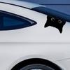 Cat Peeking Funny Sticker PET Car Styling Decoration Universal Car Cat Sticker  Car