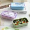 Compartment Lunch Box for Students and Office Workers, Portable Bento Box, 304 Stainless Steel Insulated Lunch Container