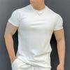 Men Fitness T-shirts Slim Fit Turtleneck Short Sleeve Undershirt Gym Fitness Tee Casual Base Layer Muscle Top for Workout Travel Office