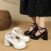 2025 весна новая обмотка ремня туфли на высоком толстом каблуке водонепроницаемая платформа одинарная обувь японский повседневный тренд с туфлями Мэри Джейн женские