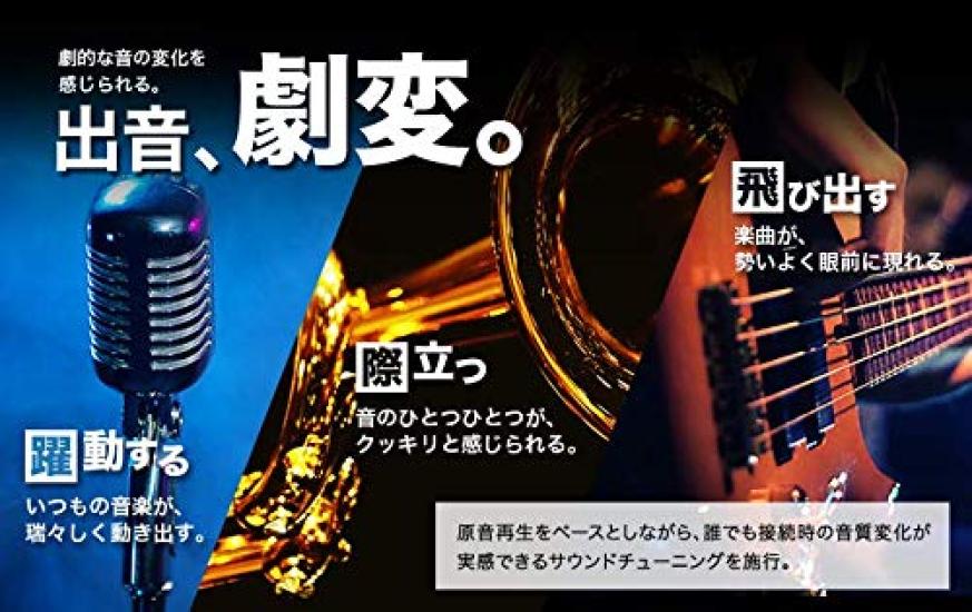 Pioneer 600W x 1 Mono Power Carrozzeria GM-D8100 Amplifier,