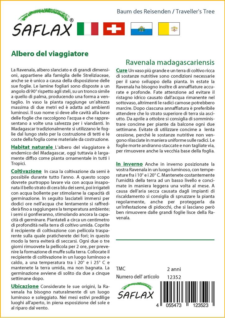 SAFLAX Дерево путешественника - 8 семян - Ravenala madagascariensis