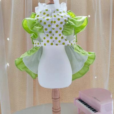 Одежда и обувь – Платья для собак