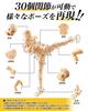 CHALAN Drawing Doll Figure with 30 Moveable Joints by Professional Manga Male and Female Model Doll with Manga Drawing Drawing Premium Sketch Base