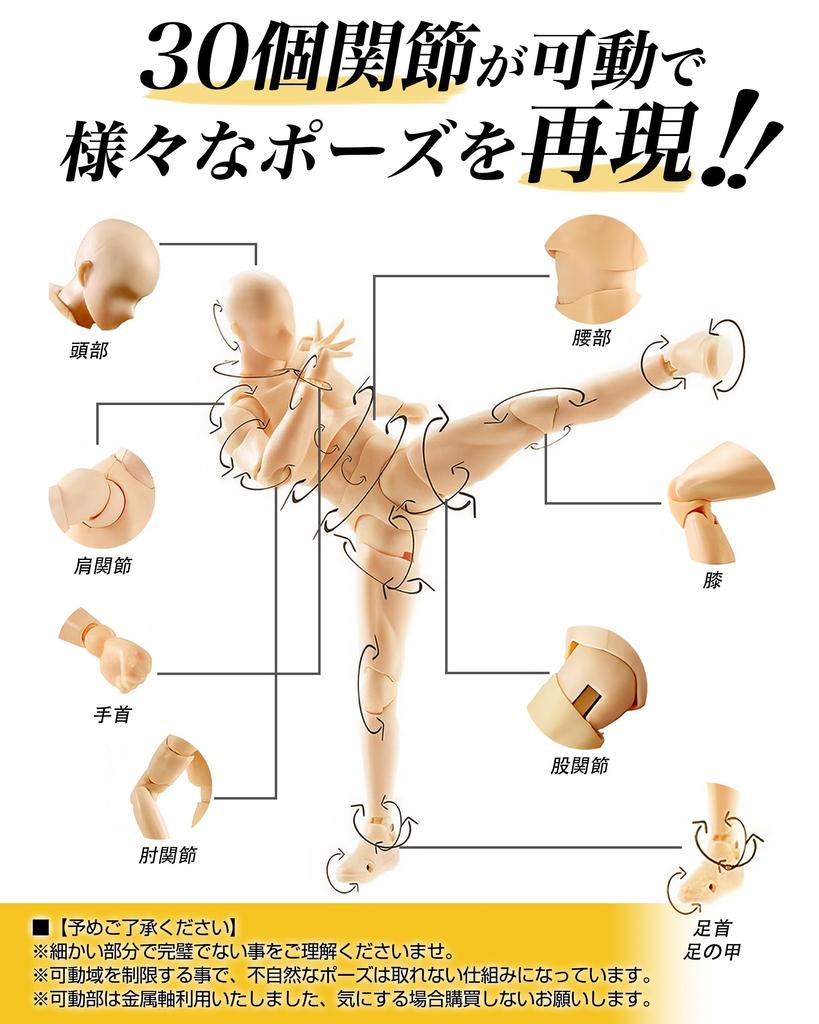 CHALAN Drawing Doll Figure with 30 Moveable Joints by Professional Manga Male and Female Model Doll with Manga Drawing Drawing Premium Sketch Base
