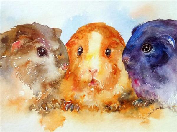 5d Алмазная картина Новые поступления Морская свинка Вышивка крестиком Домашняя крыса Мозаика Мышь Домашний декор