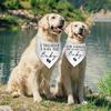 2 Packs Our Humans are Getting Us a Baby Dog Bandanas Pregnancy Announcement Gender Reveal Ideas Dog Baby Announcement Photo Prop Pet Scarf
