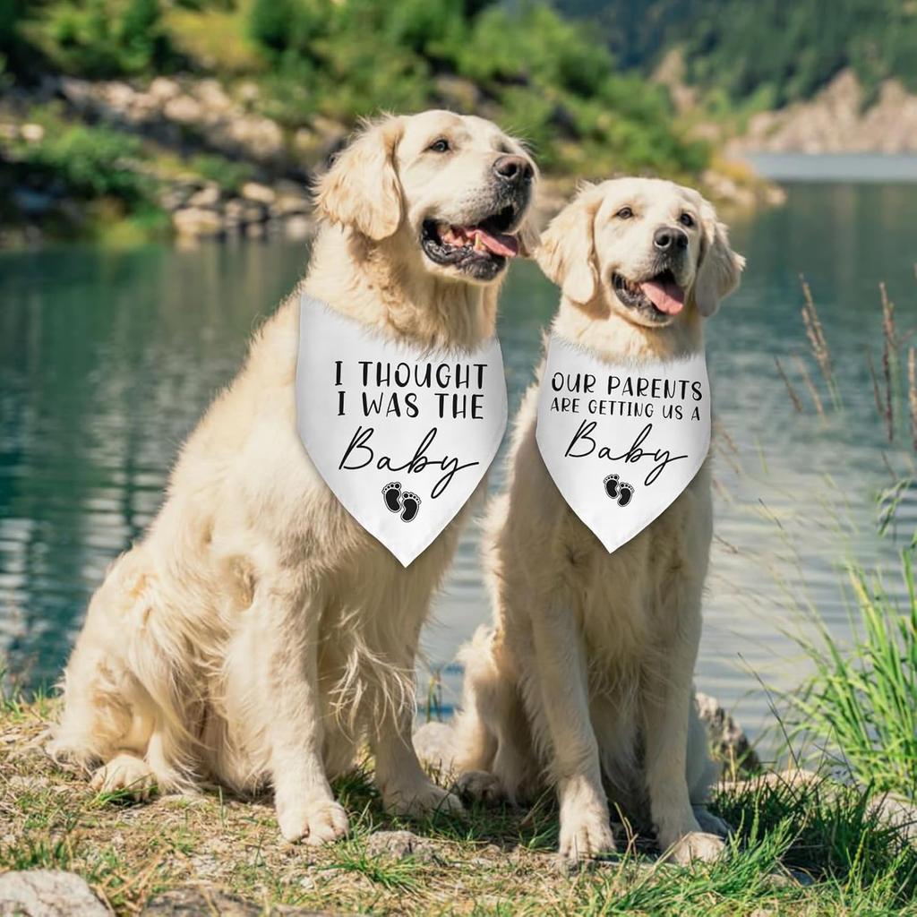 2 Packs Our Humans are Getting Us a Baby Dog Bandanas Pregnancy Announcement Gender Reveal Ideas Dog Baby Announcement Photo Prop Pet Scarf
