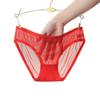 Low Waist Transparent Mesh Briefs Sexy Underwear Cute Panties for Women