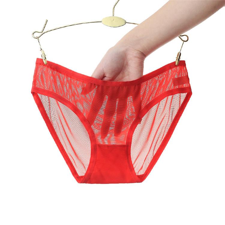 Low Waist Transparent Mesh Briefs Sexy Underwear Cute Panties for Women