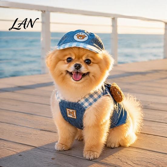 Nylon Pet Leash 1 Set Denim Dog Harness with Leash, Padded Breathable Harness, 4Ft Travel Accessories Cute Bear Walking for Small Dogs, Outdoor