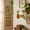 Resin Wall Mounted Planter Creative Flower Pot Wall Decoration Flower Arrangement  Office