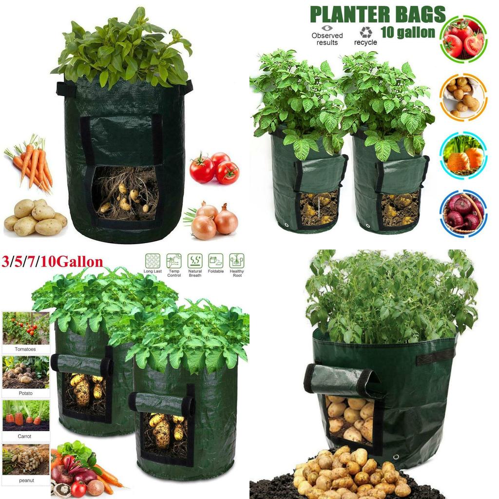 Practical And Lightweight Garden Plant Tools For Homegrown Food On Balconies And Patios