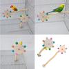 Cage Toy for Bird Perch Stand Windmill Grinding Scratchers Perch Molar Chew Toy for Parrots Parakeets Toy Bird