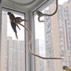 Льняная веревка DIY Гибкая жердочка для птиц Удобный захват Легко установить Присоска Веревка для лазания птиц Нескользящая Прочная