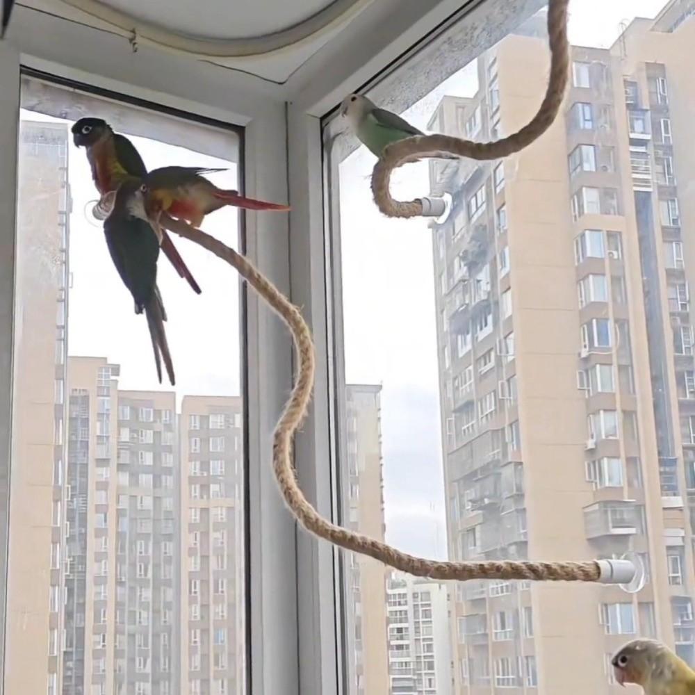 Льняная веревка DIY Гибкая жердочка для птиц Удобный захват Легко установить Присоска Веревка для лазания птиц Нескользящая Прочная