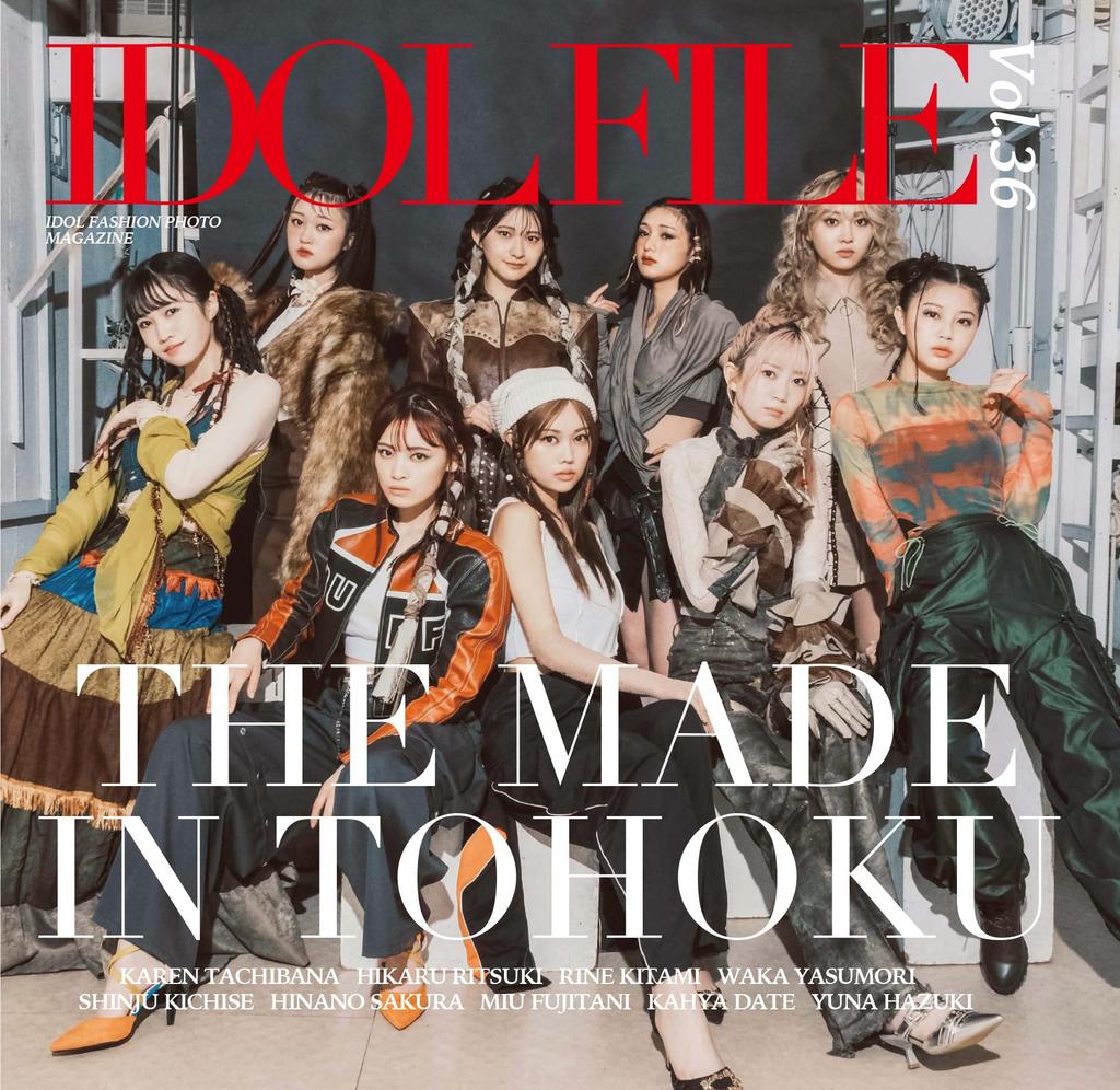IDOL FILE Том 36