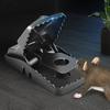 5 Pcs Mouse Trap Indoor Outdoor Mouse Snap Trap with Strong Spring Easy Setup Quick Mouse Catcher for House Mice Rats Rodents