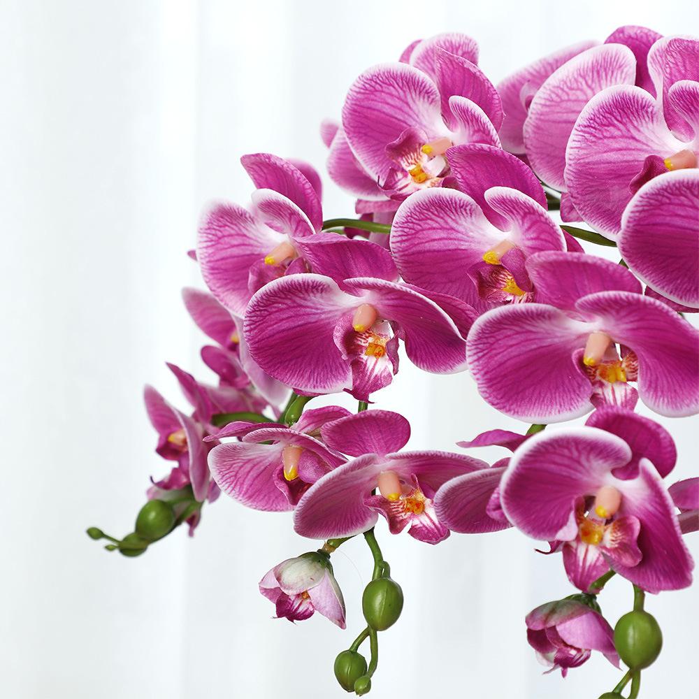 Simulation flower feel Phalaenopsis, living room bedroom home decoration ornament, fake flower bonsai