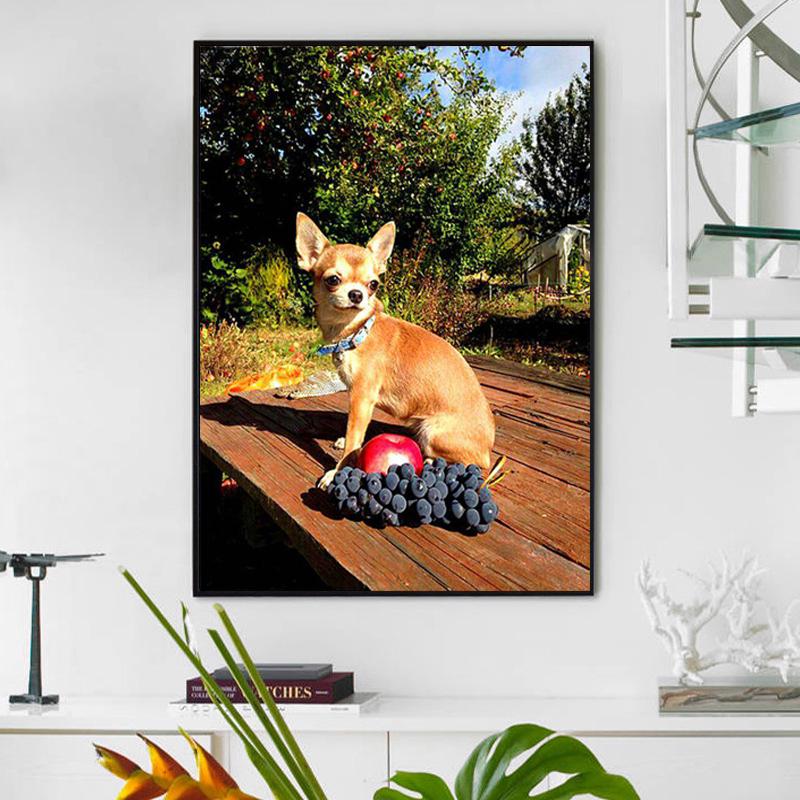 5D DIY Diamond Painting Chihuahua Dog Diamond Embroidery Full Display Mosaic Picture of Rhinestones