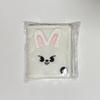 [USED] Stray Kids Leebit Reno Photo Card Case