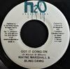7inch Record WAYNE MARSHALL & BLING DAWG - Got It Going On NONE H2O Productions 2004 Jamaica Reggae, Ska & Dub Used