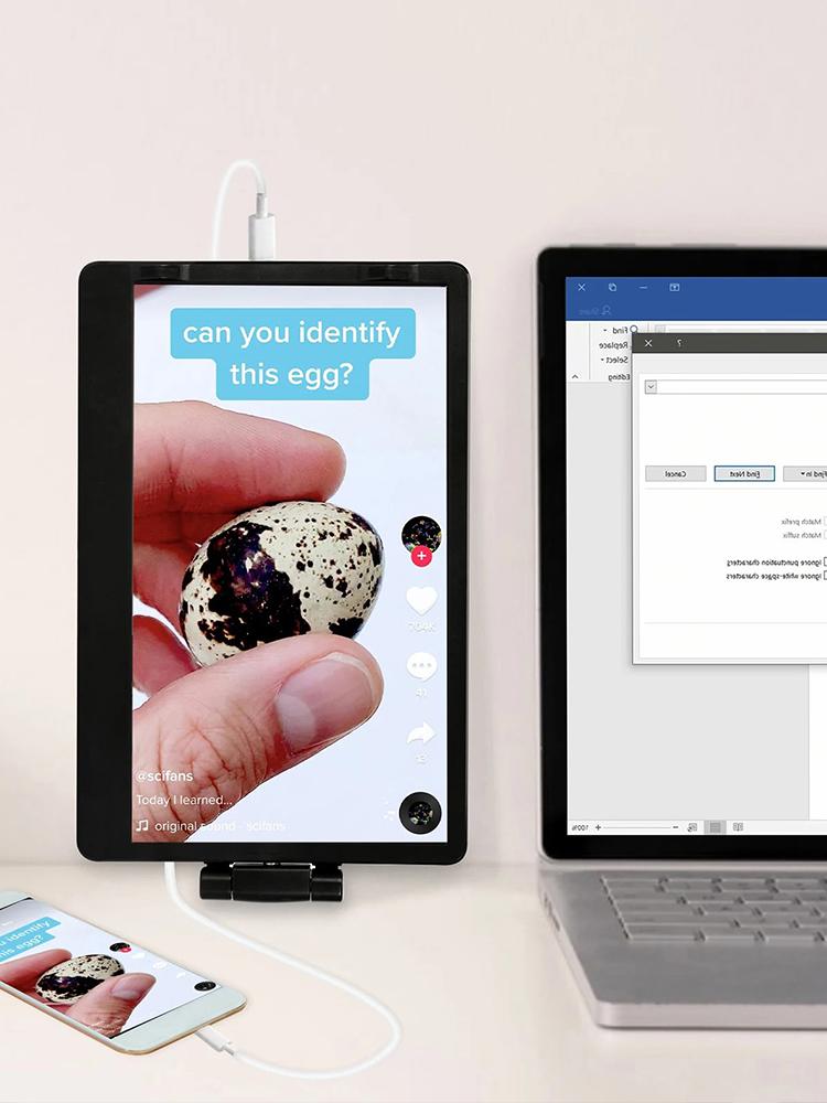 11.6 Inch Portable Computer Display Monitor Laptop Screen Monitor Compatible for iPad Pro 2018 MagicBook