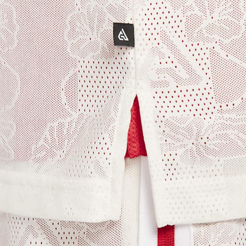 Nike Джерси для баскетбола Giannis Dri-FIT DNA с цветочным узором, дышащая, быстросохнущая, с логотипом, пуловер, мужская, джерси, парусиново-белая FZ0925133