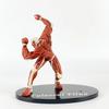 Аниме рукоятка Warhammer Reiner Brown Kay Giant Female Cartoon Toy Gift